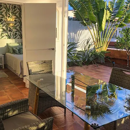 In The Garden * Costa Adeje (Tenerife)