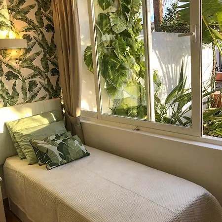 In The Garden أذيخي